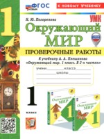 Окружающий мир 1 класс проверочные работы Погорелова Н.Ю.