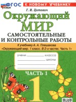 ГДЗ по Окружающему миру для 1 класса Цитович Г.И. самостоятельные и контрольные работы 